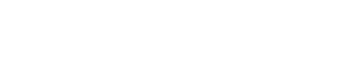 Immigration Insurance